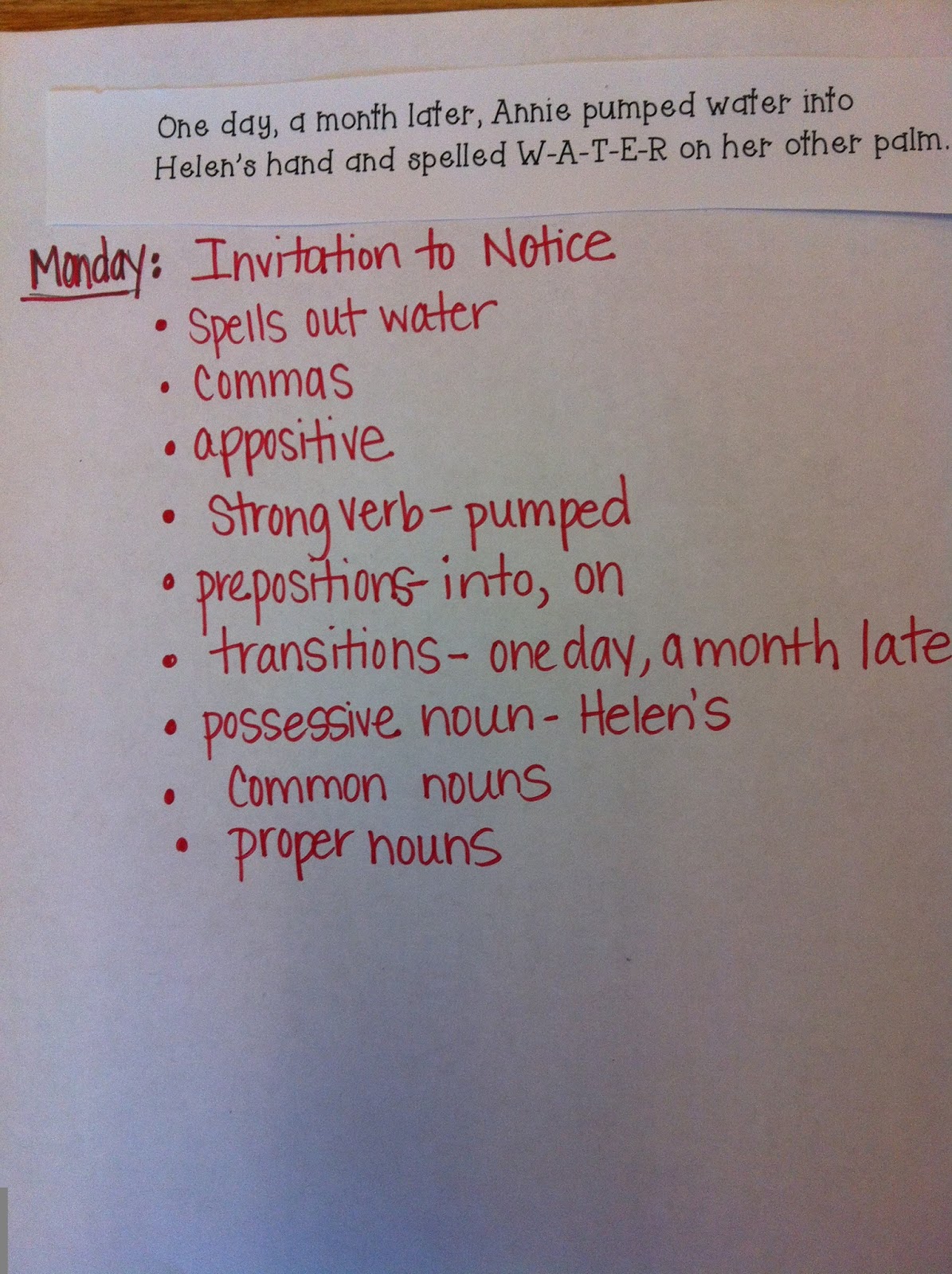 Albatross anchor proposal essay 08 image